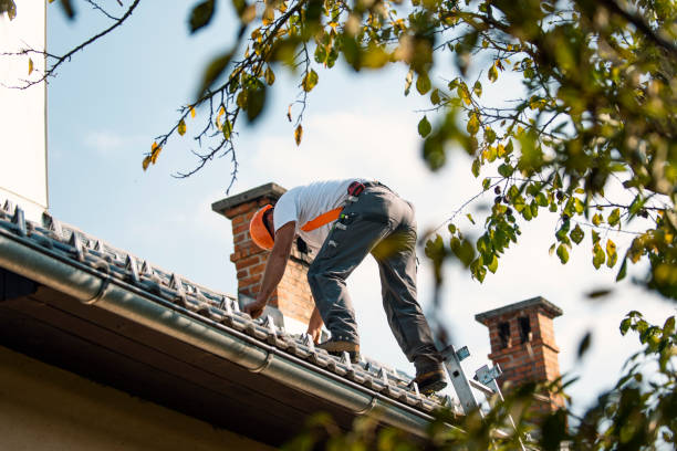 Best Roof Restoration Services  in Nd Point, WI