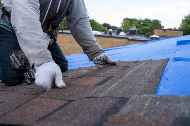 Best Roof Waterproofing Services  in Nd Point, WI