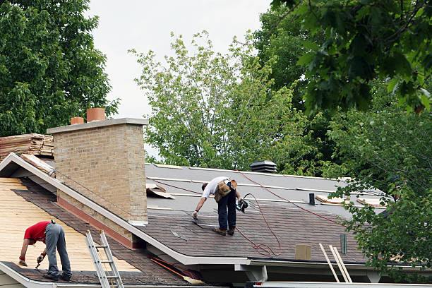 Best Metal Roofing Contractor  in Nd Point, WI